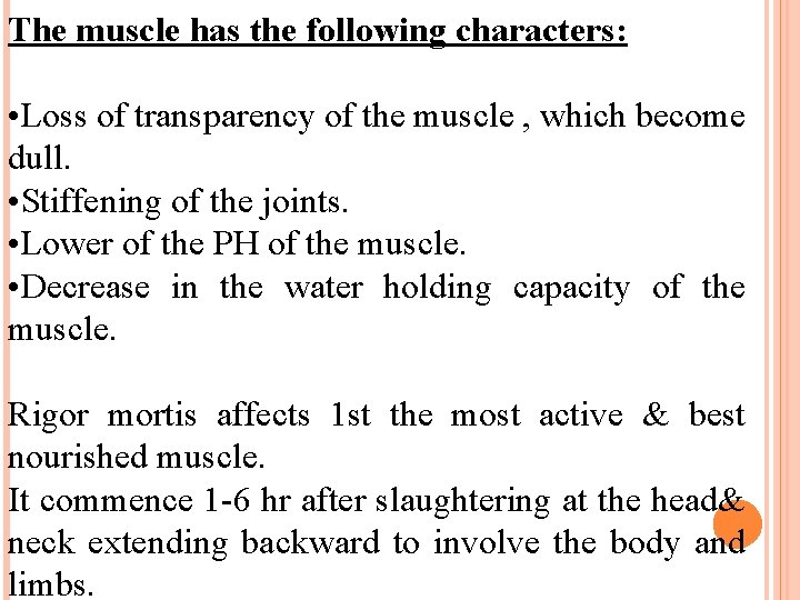 The muscle has the following characters: • Loss of transparency of the muscle ,