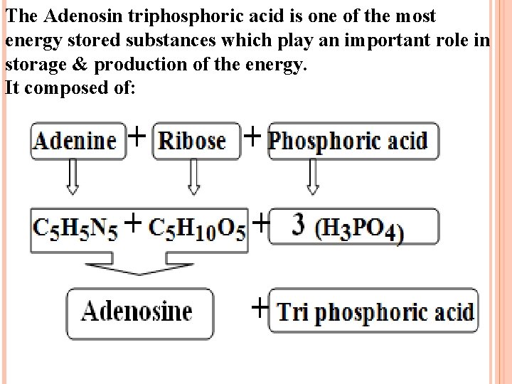 The Adenosin triphosphoric acid is one of the most energy stored substances which play