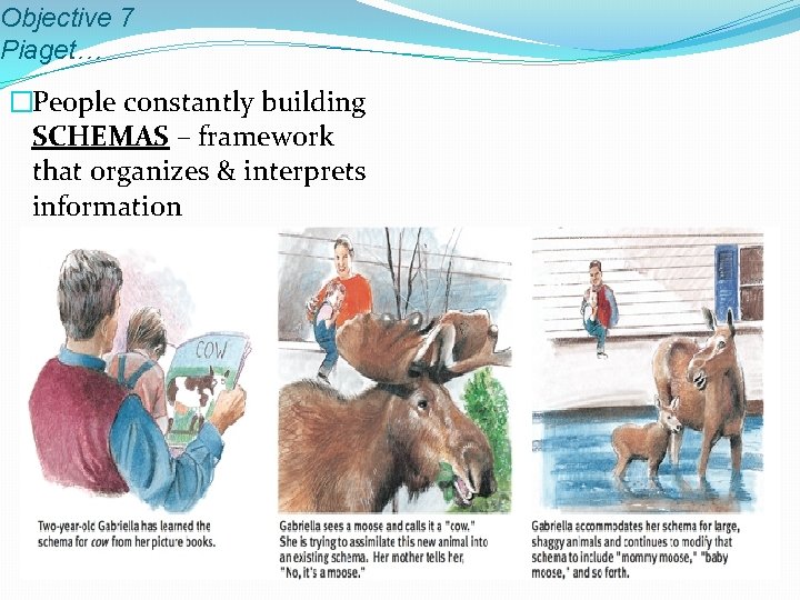 Objective 7 Piaget… �People constantly building SCHEMAS – framework that organizes & interprets information