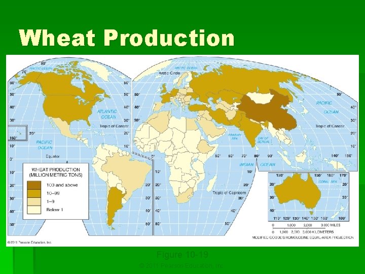 Wheat Production Figure 10 -19 © 2011 Pearson Education, Inc. 
