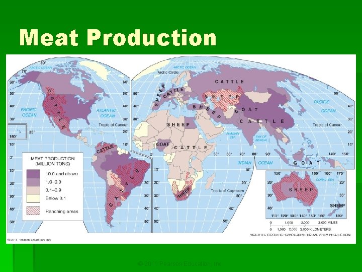Meat Production © 2011 Pearson Education, Inc. 