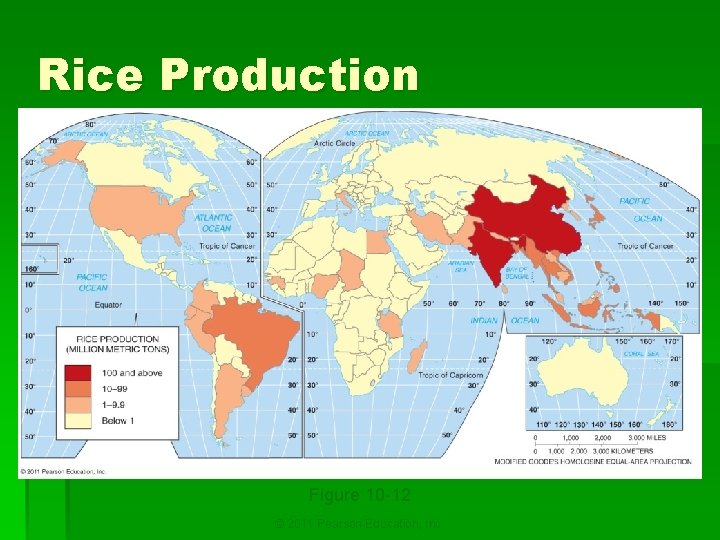 Rice Production Figure 10 -12 © 2011 Pearson Education, Inc. 
