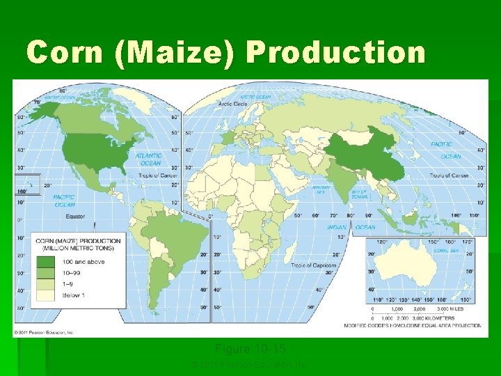 Corn (Maize) Production Figure 10 -15 © 2011 Pearson Education, Inc. 