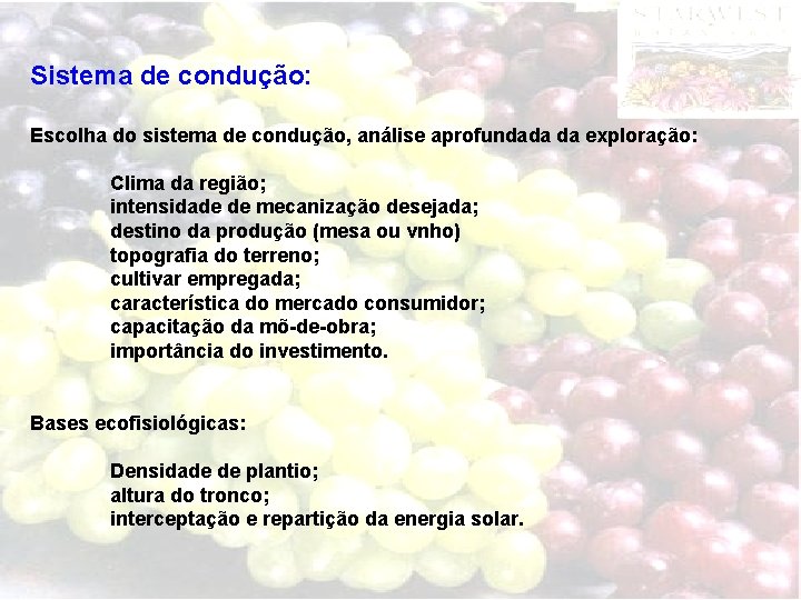 Sistema de condução: Escolha do sistema de condução, análise aprofundada da exploração: Clima da