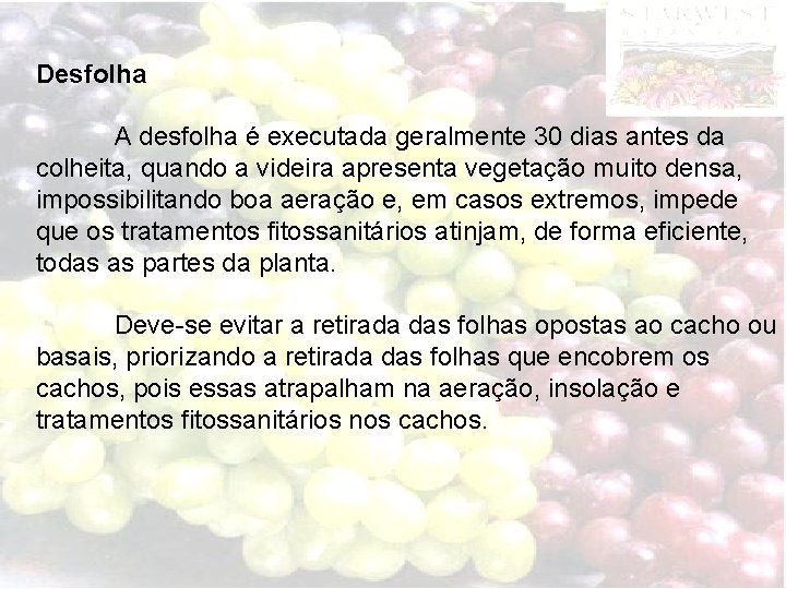 Desfolha A desfolha é executada geralmente 30 dias antes da colheita, quando a videira