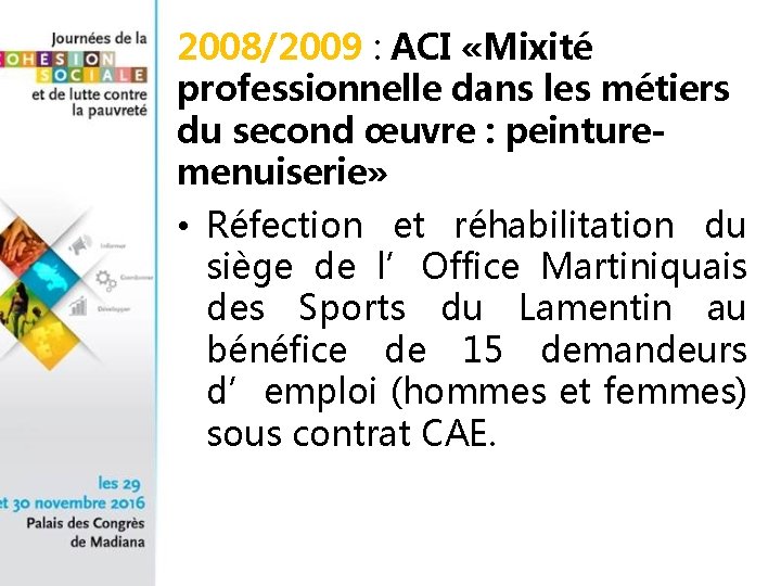 2008/2009 : ACI «Mixité professionnelle dans les métiers du second œuvre : peinturemenuiserie» •