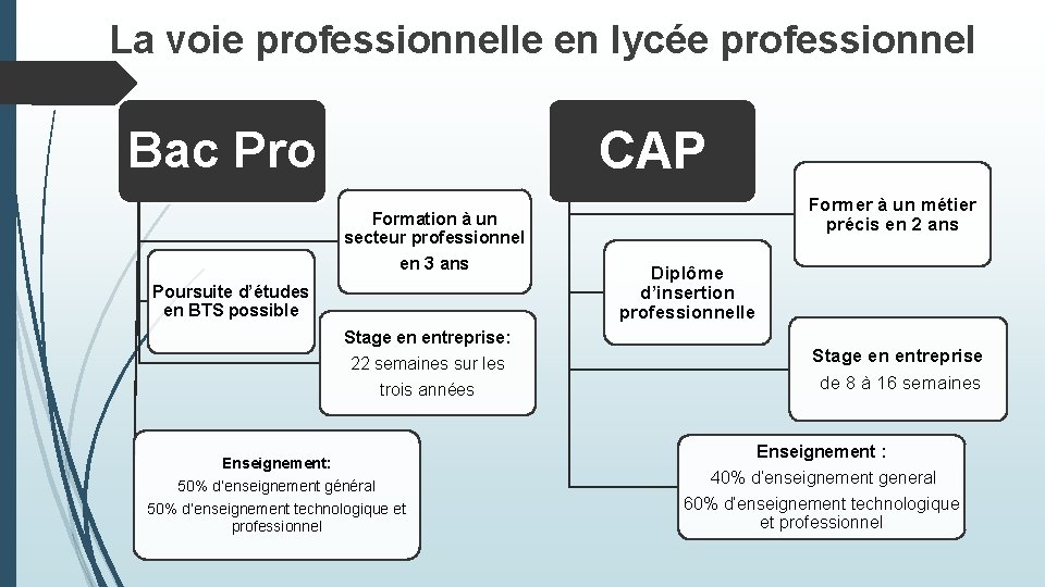 La voie professionnelle en lycée professionnel CAP Bac Pro Formation à un secteur professionnel