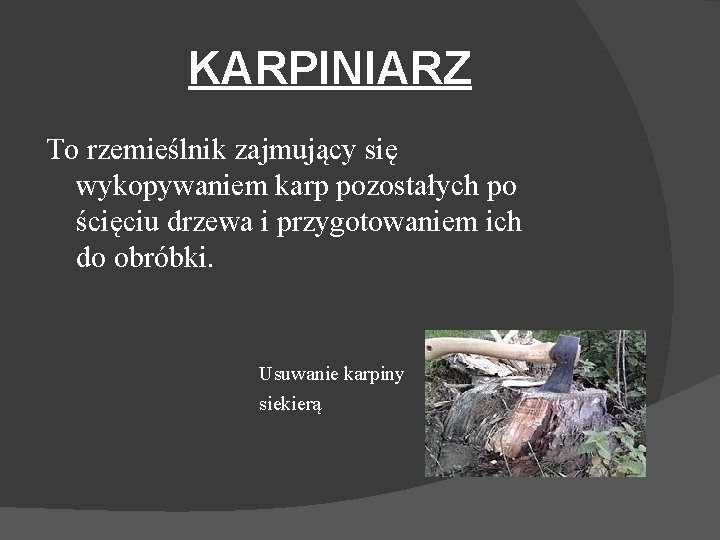 KARPINIARZ To rzemieślnik zajmujący się wykopywaniem karp pozostałych po ścięciu drzewa i przygotowaniem ich