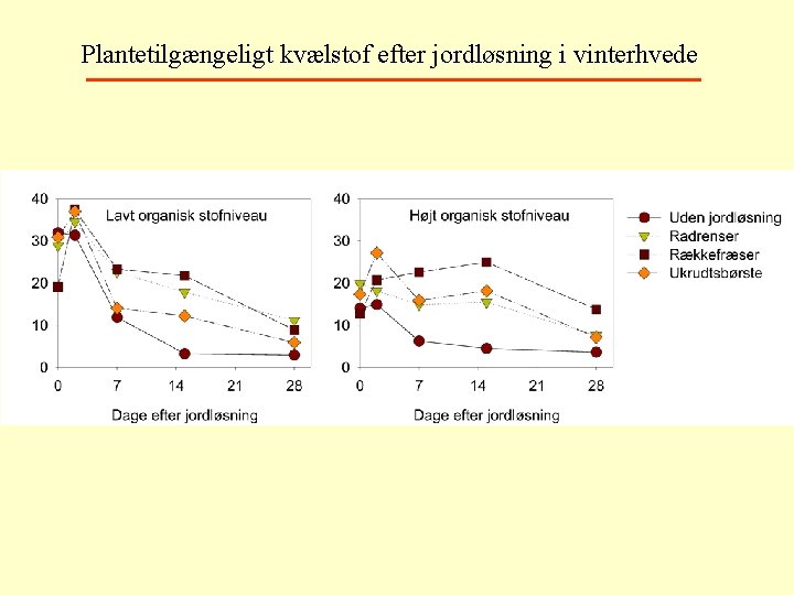 Plantetilgængeligt kvælstof efter jordløsning i vinterhvede 