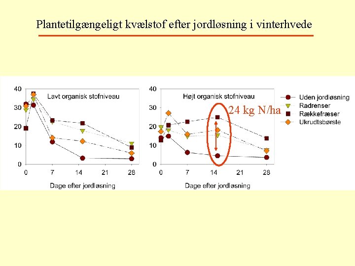 Plantetilgængeligt kvælstof efter jordløsning i vinterhvede 24 kg N/ha 