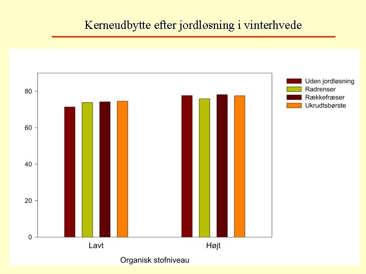 Kerneudbytte efter jordløsning i vinterhvede 