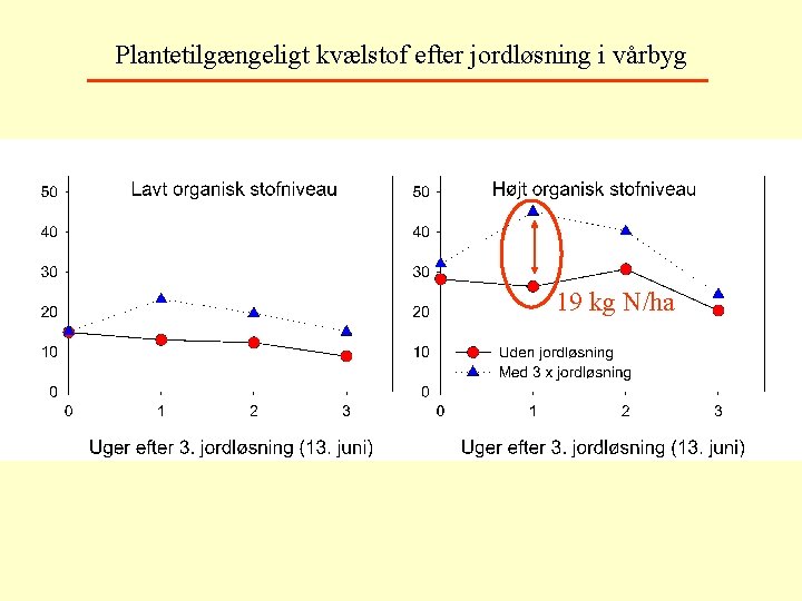 Plantetilgængeligt kvælstof efter jordløsning i vårbyg 19 kg N/ha 