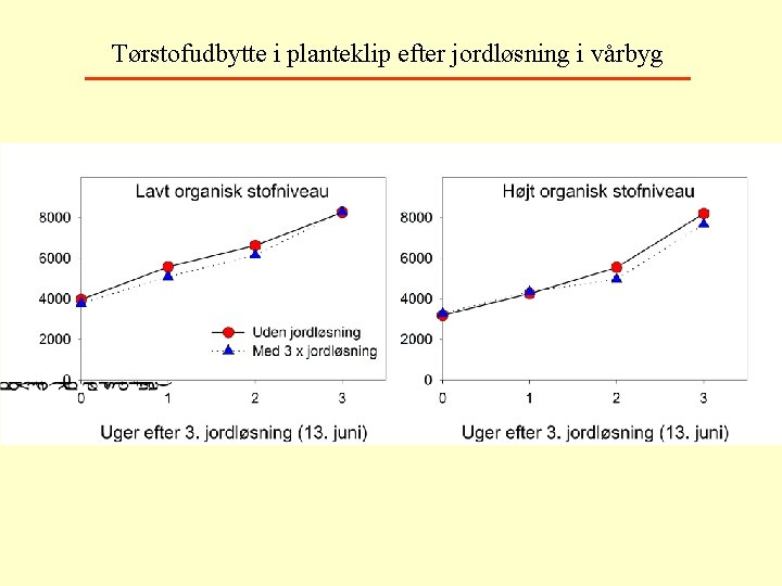 Tørstofudbytte i planteklip efter jordløsning i vårbyg 