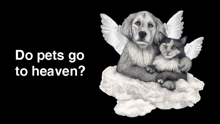 Do pets go to heaven? 