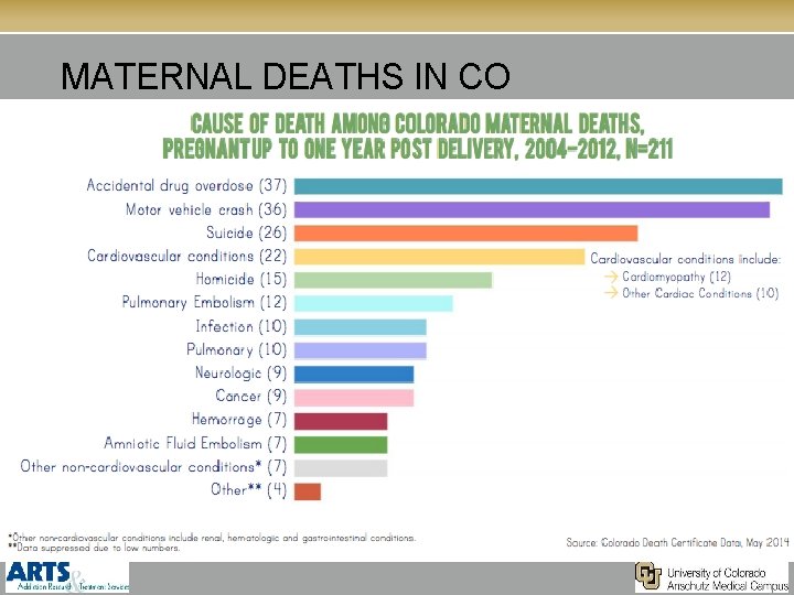 MATERNAL DEATHS IN CO 