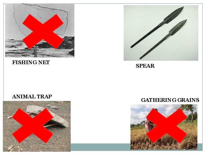 FISHING NET ANIMAL TRAP SPEAR GATHERING GRAINS 