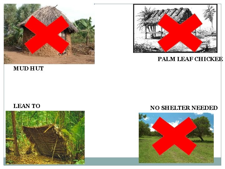 PALM LEAF CHICKEE MUD HUT LEAN TO NO SHELTER NEEDED 