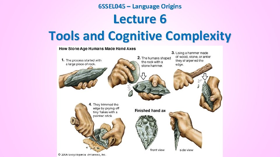 6 SSEL 045 – Language Origins Lecture 6 Tools and Cognitive Complexity 