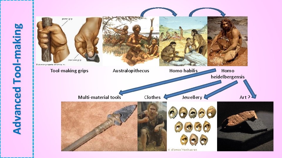 Advanced Tool-making grips Australopithecus Multi-material tools Clothes Homo habilis Jewellery Homo heidelbergensis Art ?