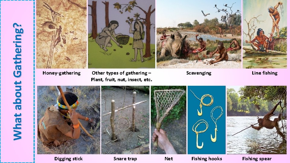 What about Gathering? Honey-gathering Digging stick Other types of gathering – Plant, fruit, nut,