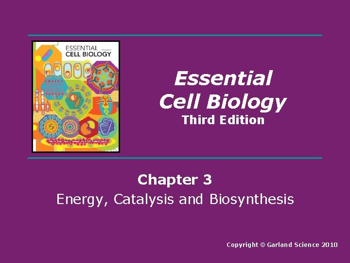 Essential Cell Biology Third Edition Chapter 3 Energy, Catalysis and Biosynthesis Copyright © Garland
