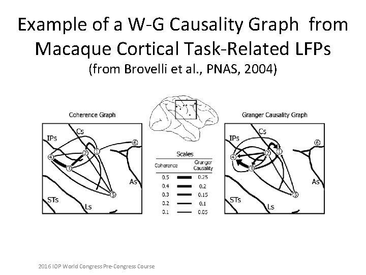Example of a W-G Causality Graph from Macaque Cortical Task-Related LFPs (from Brovelli et