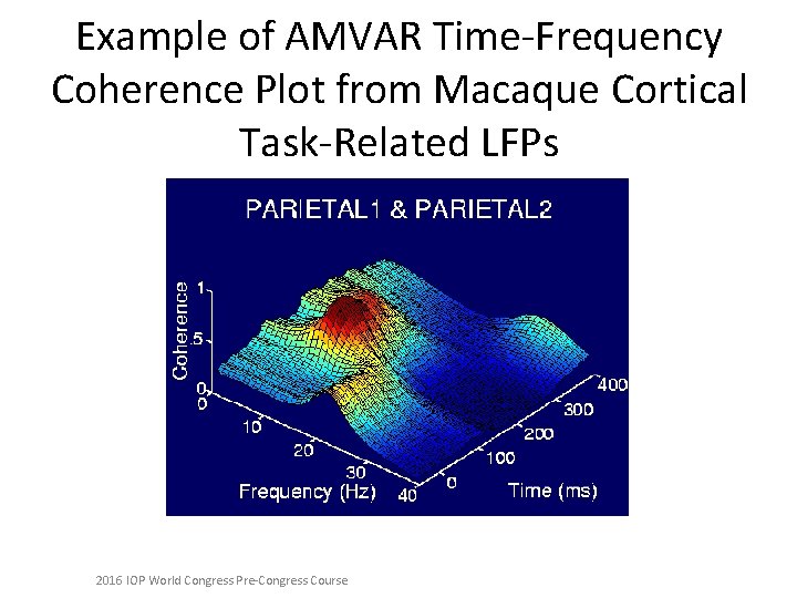 Example of AMVAR Time-Frequency Coherence Plot from Macaque Cortical Task-Related LFPs 2016 IOP World