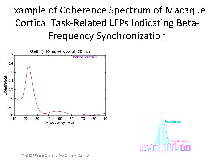 Example of Coherence Spectrum of Macaque Cortical Task-Related LFPs Indicating Beta. Frequency Synchronization 2016