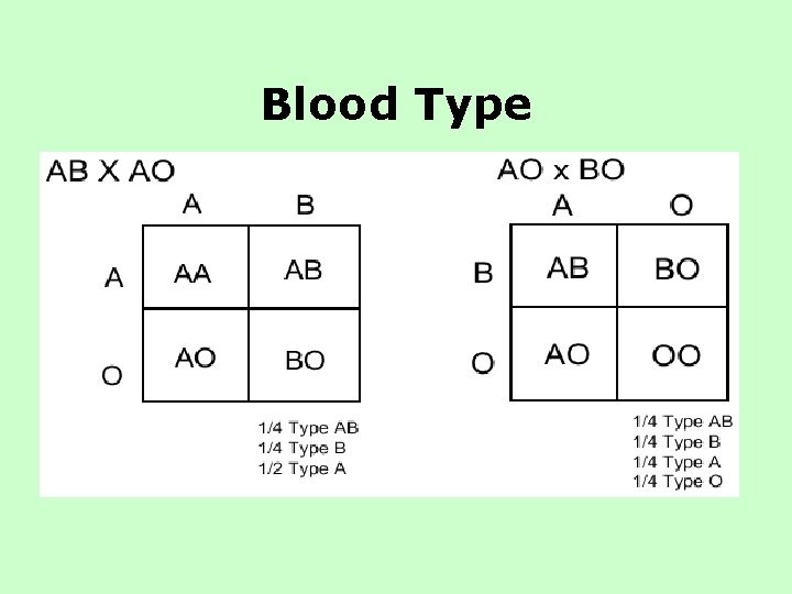 Blood Type Blood Type