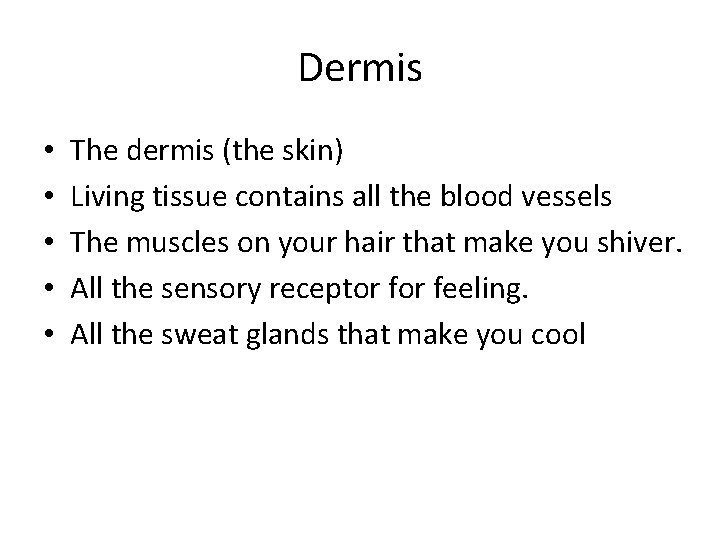 Dermis • • • The dermis (the skin) Living tissue contains all the blood