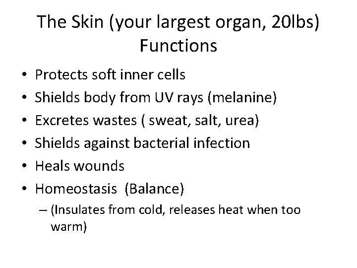 The Skin (your largest organ, 20 lbs) Functions • • • Protects soft inner