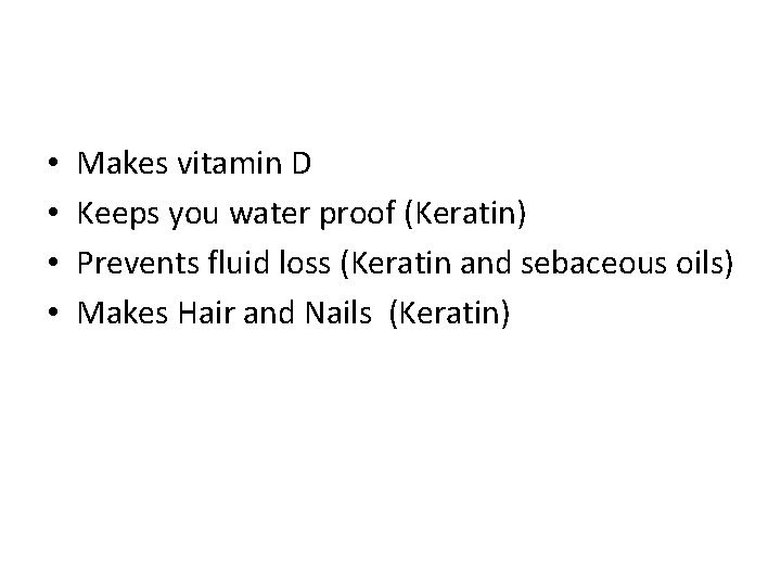  • • Makes vitamin D Keeps you water proof (Keratin) Prevents fluid loss