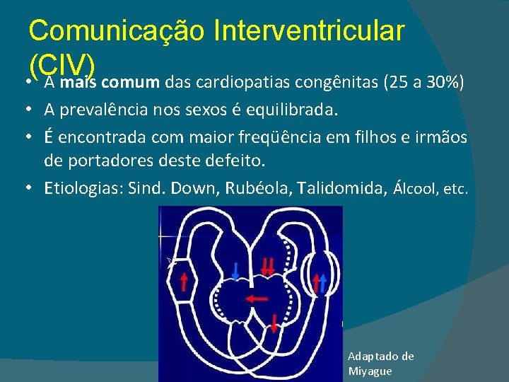 Comunicação Interventricular (CIV) • A mais comum das cardiopatias congênitas (25 a 30%) •