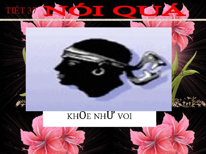 TIẾT 37 KHỎE NHƯ VOI TIẾT 37 KHỎE NHƯ VOI