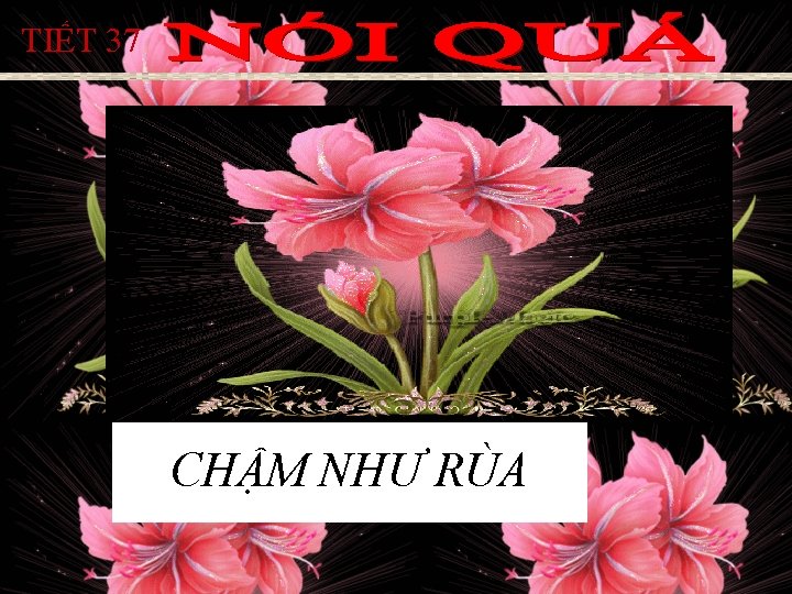 TIẾT 37 CHẬM NHƯ RÙA TIẾT 37 CHẬM NHƯ RÙA