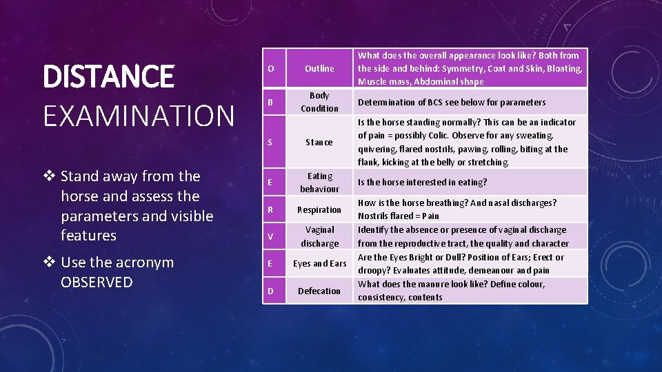 DISTANCE EXAMINATION v Stand away from the horse and assess the parameters and visible