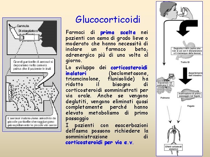 Glucocorticoidi • • • Farmaci di prima scelta nei pazienti con asma di grado
