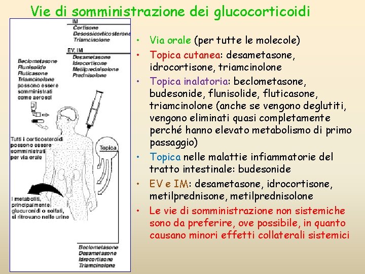 Vie di somministrazione dei glucocorticoidi • Via orale (per tutte le molecole) • Topica