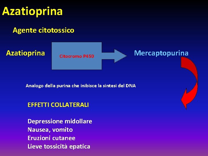 Azatioprina Agente citotossico Azatioprina Citocromo P 450 Mercaptopurina Analogo della purina che inibisce la