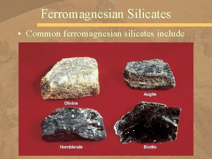 Ferromagnesian Silicates • Common ferromagnesian silicates include 