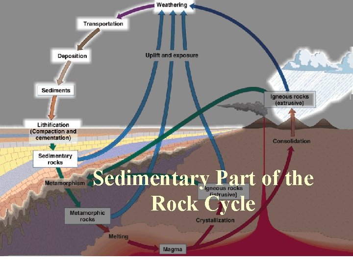 Sedimentary Part of the Rock Cycle 