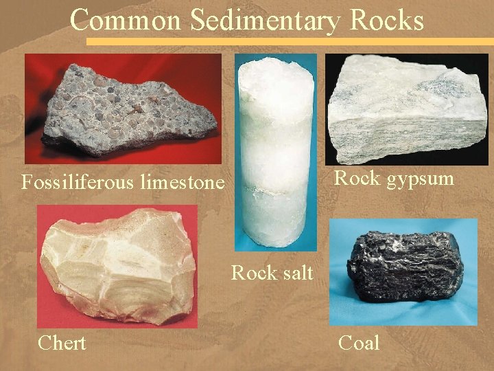 Common Sedimentary Rocks Rock gypsum Fossiliferous limestone Rock salt Chert Coal 