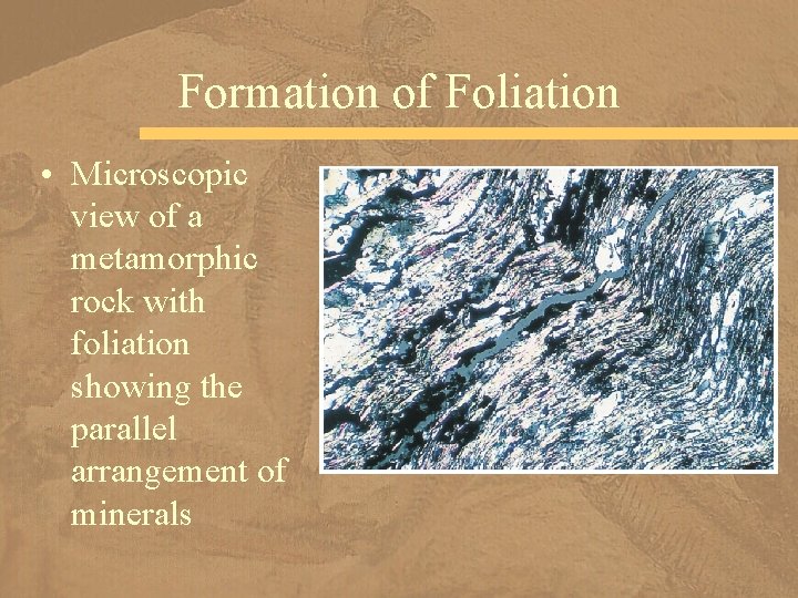 Formation of Foliation • Microscopic view of a metamorphic rock with foliation showing the