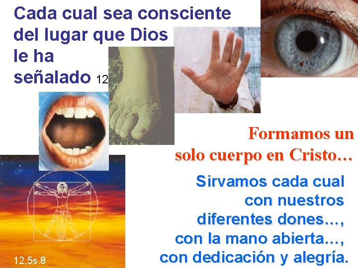 Cada cual sea consciente del lugar que Dios le ha señalado 12, 4 Formamos