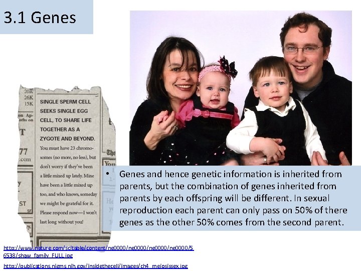 3. 1 Genes • Genes and hence genetic information is inherited from parents, but