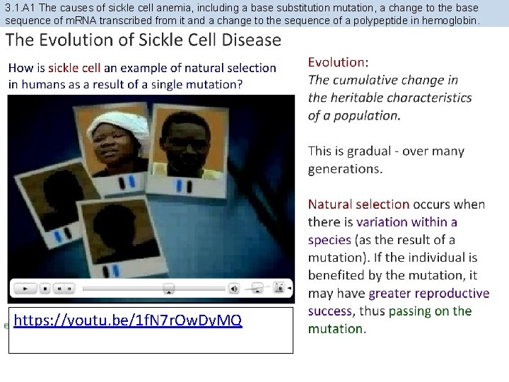 3. 1. A 1 The causes of sickle cell anemia, including a base substitution