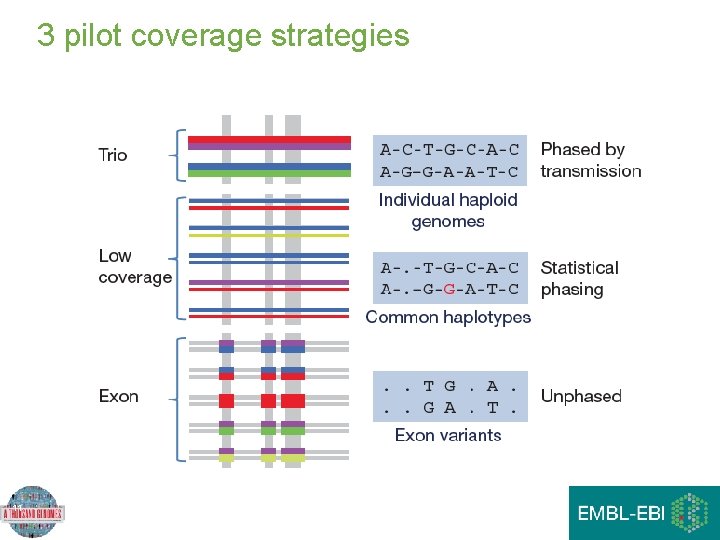 3 pilot coverage strategies 11 3 pilot coverage strategies 11