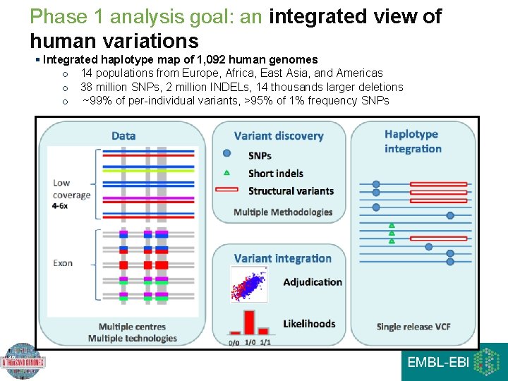Phase 1 analysis goal: an integrated view of human variations § Integrated haplotype map Phase 1 analysis goal: an integrated view of human variations § Integrated haplotype map