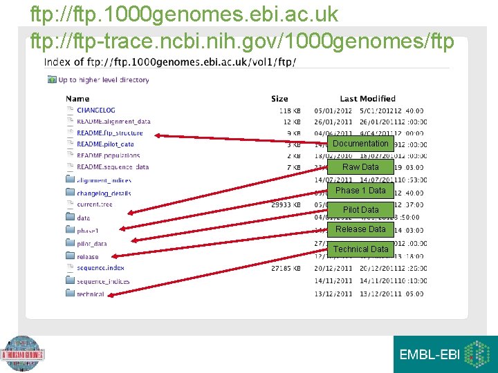 ftp: //ftp. 1000 genomes. ebi. ac. uk ftp: //ftp-trace. ncbi. nih. gov/1000 genomes/ftp Documentation ftp: //ftp. 1000 genomes. ebi. ac. uk ftp: //ftp-trace. ncbi. nih. gov/1000 genomes/ftp Documentation