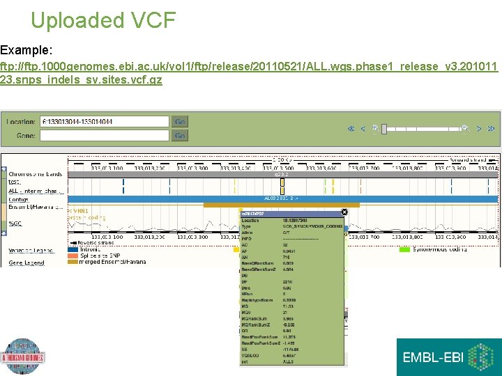 Uploaded VCF Example: ftp: //ftp. 1000 genomes. ebi. ac. uk/vol 1/ftp/release/20110521/ALL. wgs. phase 1_release_v Uploaded VCF Example: ftp: //ftp. 1000 genomes. ebi. ac. uk/vol 1/ftp/release/20110521/ALL. wgs. phase 1_release_v